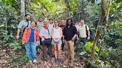 The Amazon Rainforest